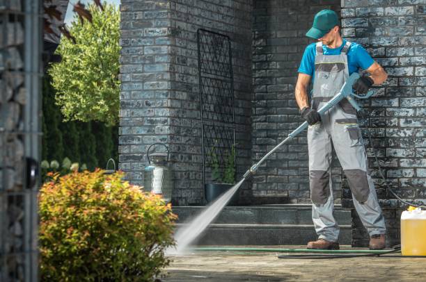 Best Soft Washing for Delicate Surfaces in Cedar Grove, WI