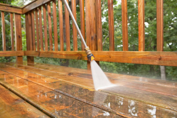 Best Vinyl Siding Pressure Washing in Cedar Grove, WI